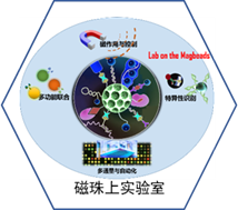 生物医学纳米技术交叉创新平台